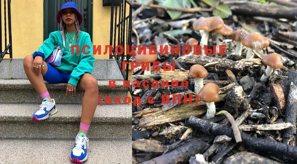 синтетический гашиш Алексин