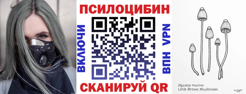 Галлюциногенные грибы Magic Shrooms  Зеленокумск 